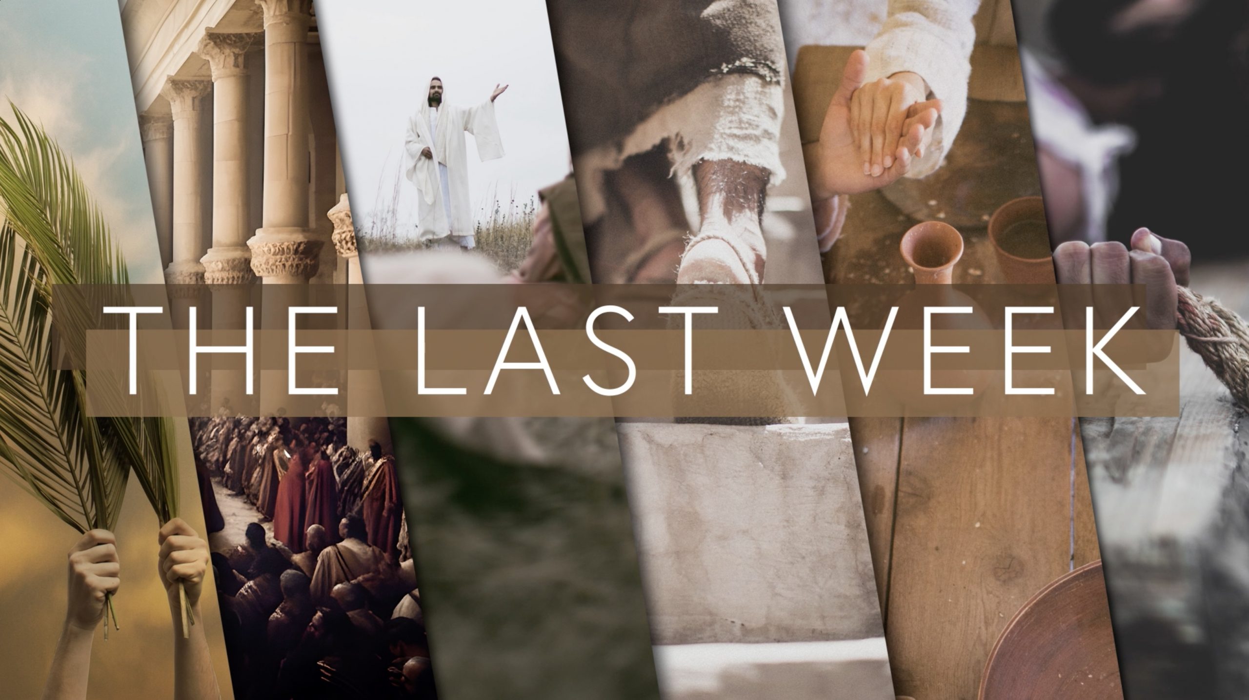Featured image for “The Last Week | Bumper Video”